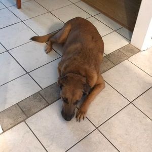 Meet your Posher, Douglas